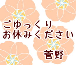 62344306