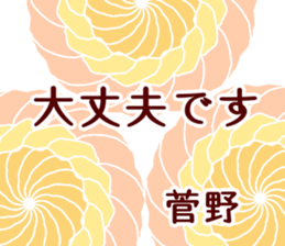 62344317