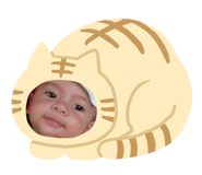 623478034