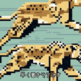 623490429