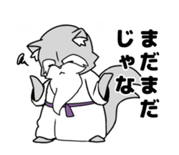 6234989