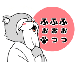 6234997