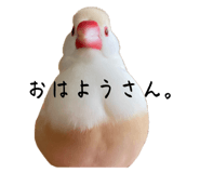 623504327