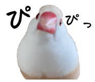 623504332