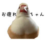 623504335