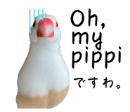 623504340