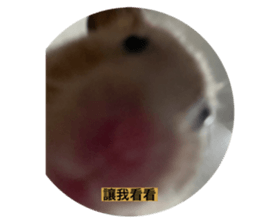 623522814