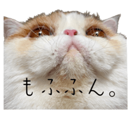 623545042