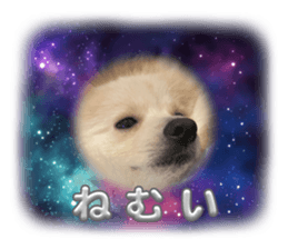 623559441
