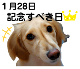 623582693