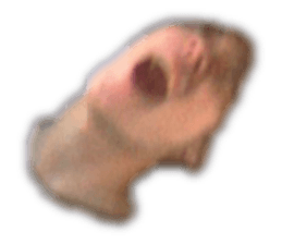 623583202