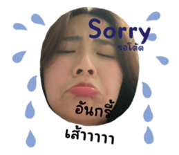 623629504