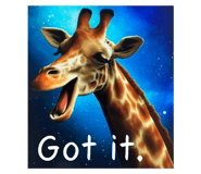 623640420