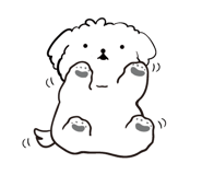 62364548