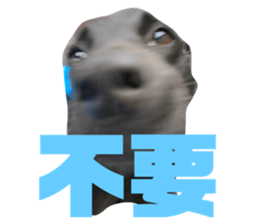 623646960
