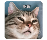 623651723