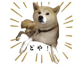 623665658