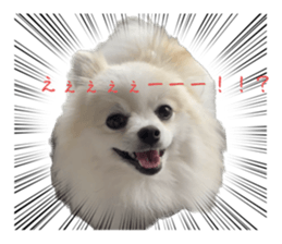623675352