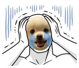 623692890
