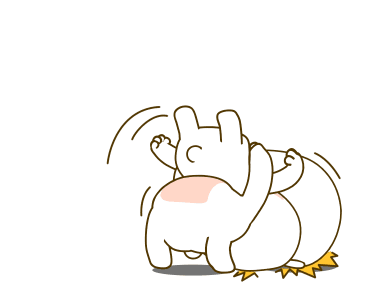 ลายที่ 19