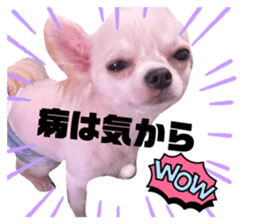 623794688