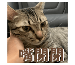 623798788