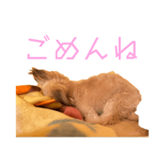 623802330