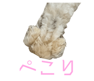 623802334