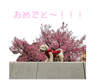 623802336