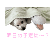 623802341