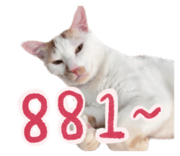 623828347