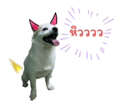 623837408