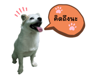 623837409