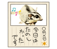 623841714