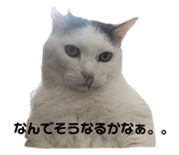 623885392