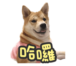 623896563