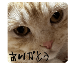 623897309