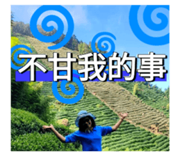 623902734