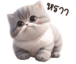 623905827