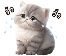 623905829