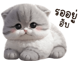 623905835