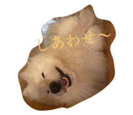 623913805