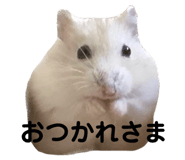 623914497