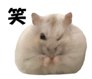 623914499