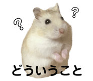 623914500