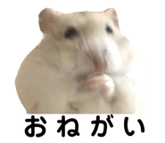 623914503