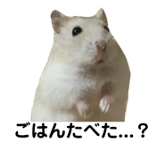 623914505