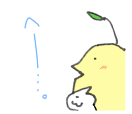 6239333