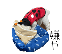 623940318