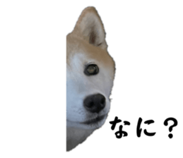 623974750